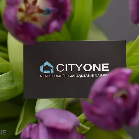 Gdynski Loft City One *